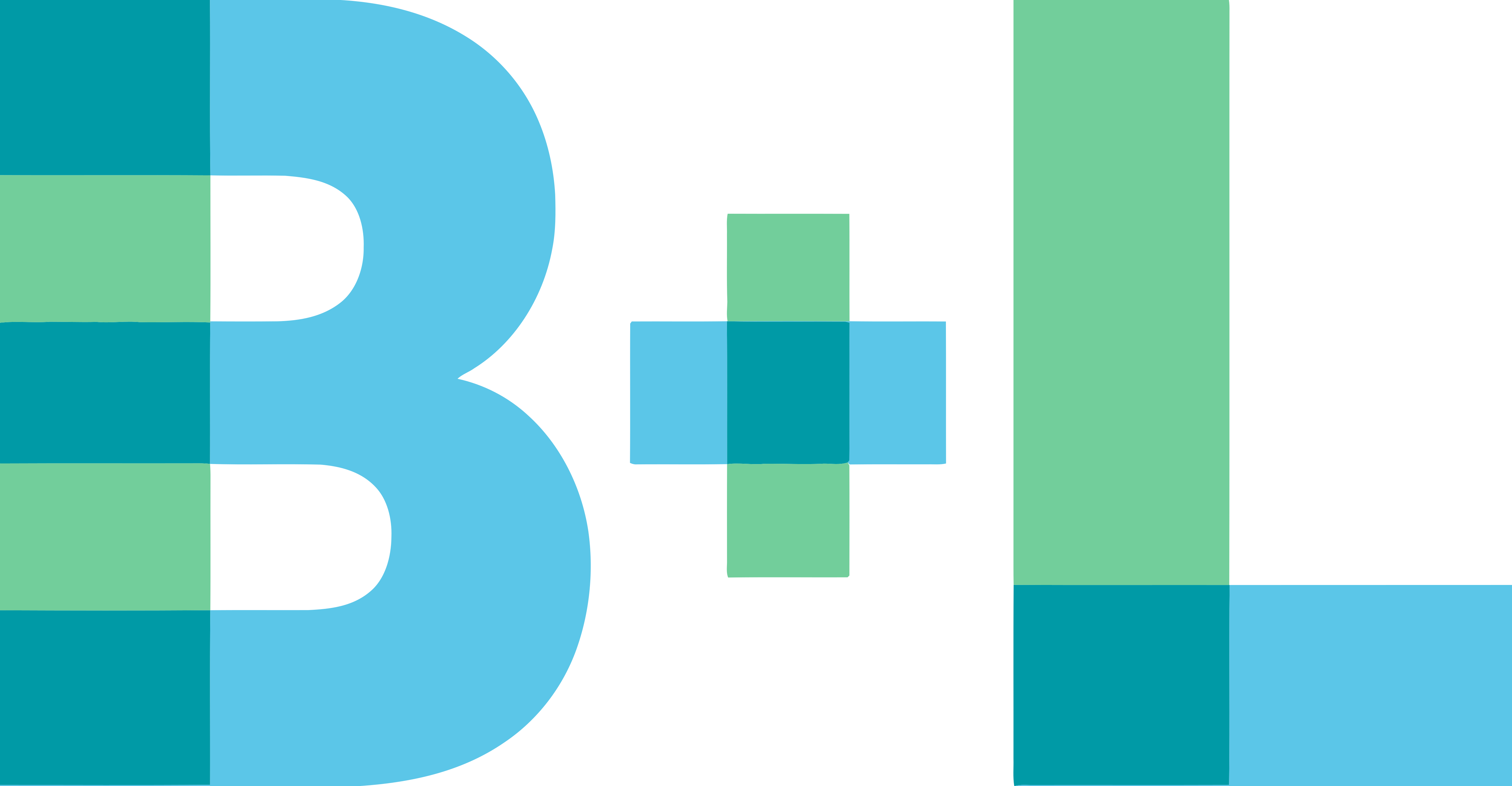 Medical and Dental Technology client logo B+L